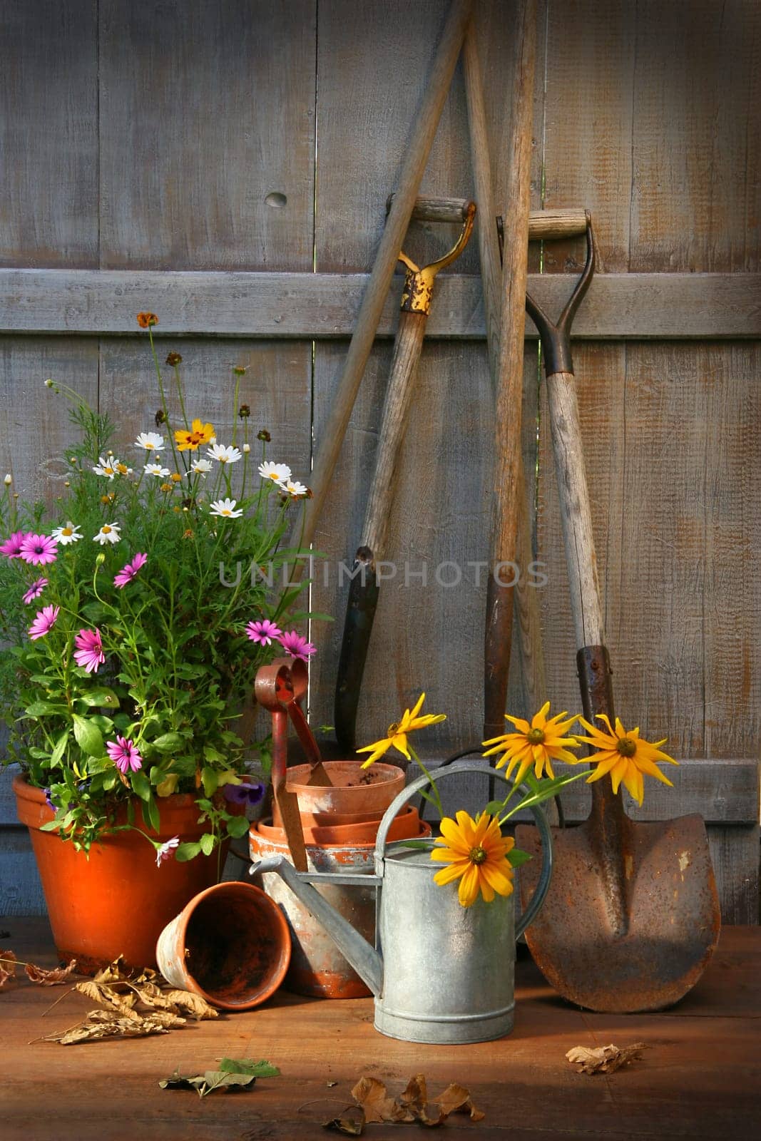 Garden shed with tools and flower pots