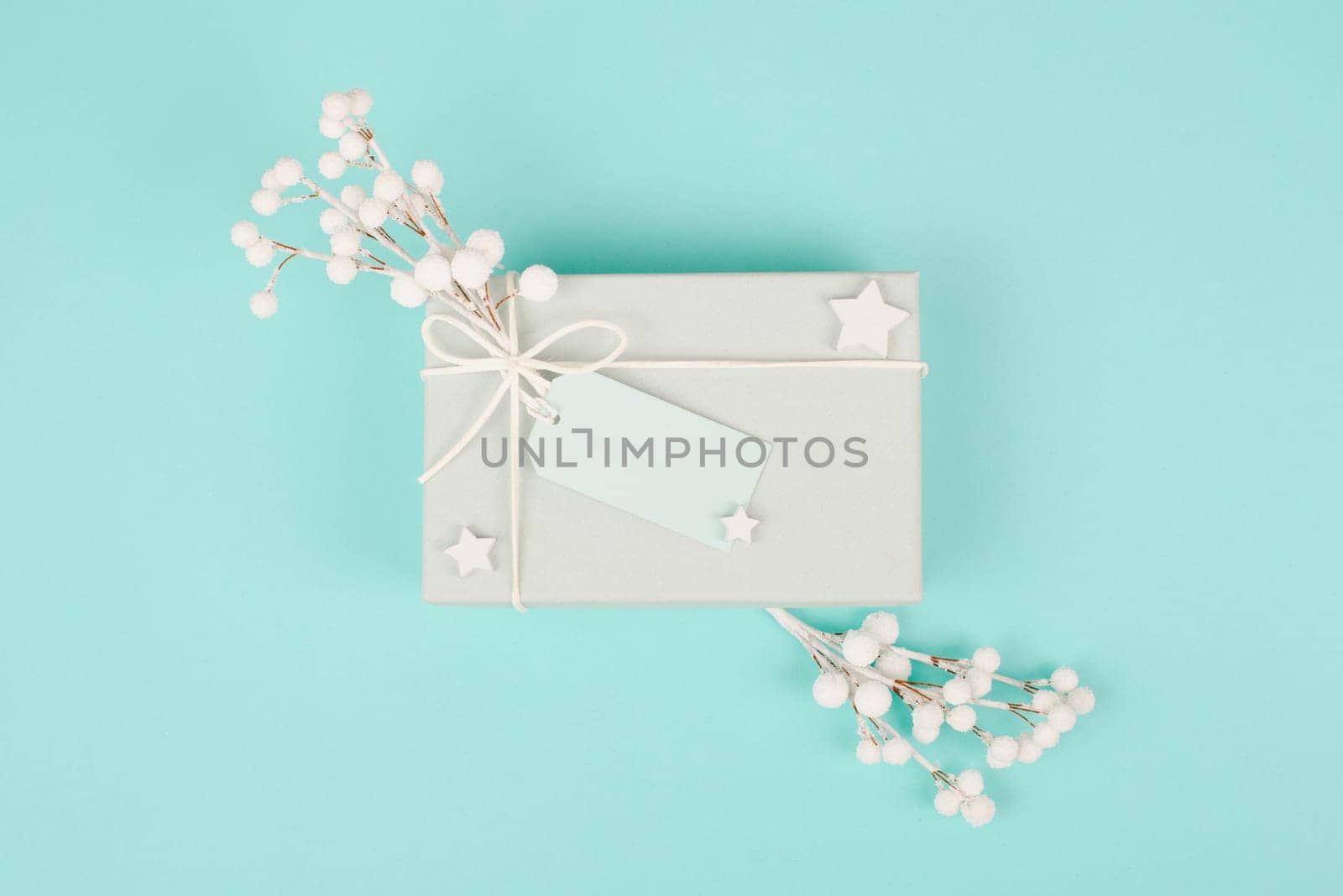 Gift box with a blank tag, snow covered berries and candy cane, christmas holiday wintertime