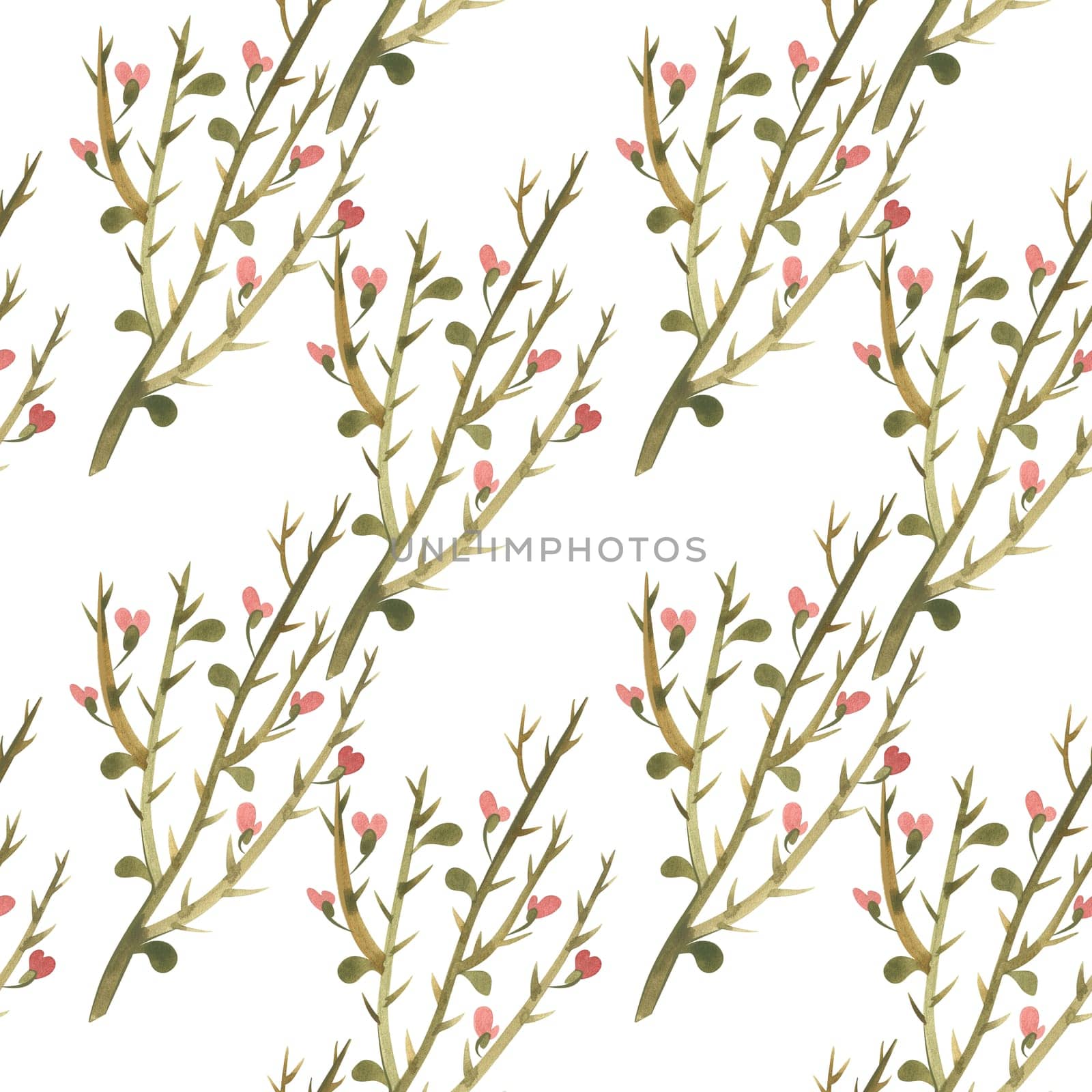 Seamless pattern with camel thorn. Design for textiles and paper. Watercolor illustration