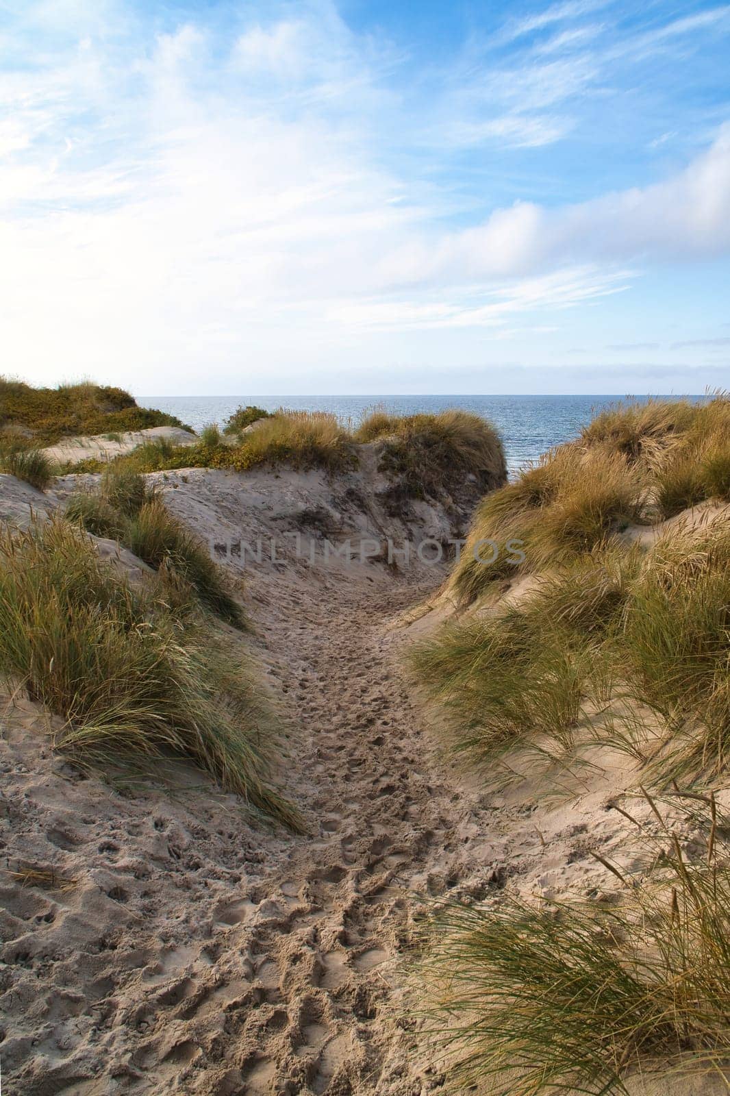 Beach crossing in Denmark by the sea. Dunes, sand water and clouds on the coast. Trip to the Baltic Sea. Vacation on the beach. Scandinavia landscape photo
