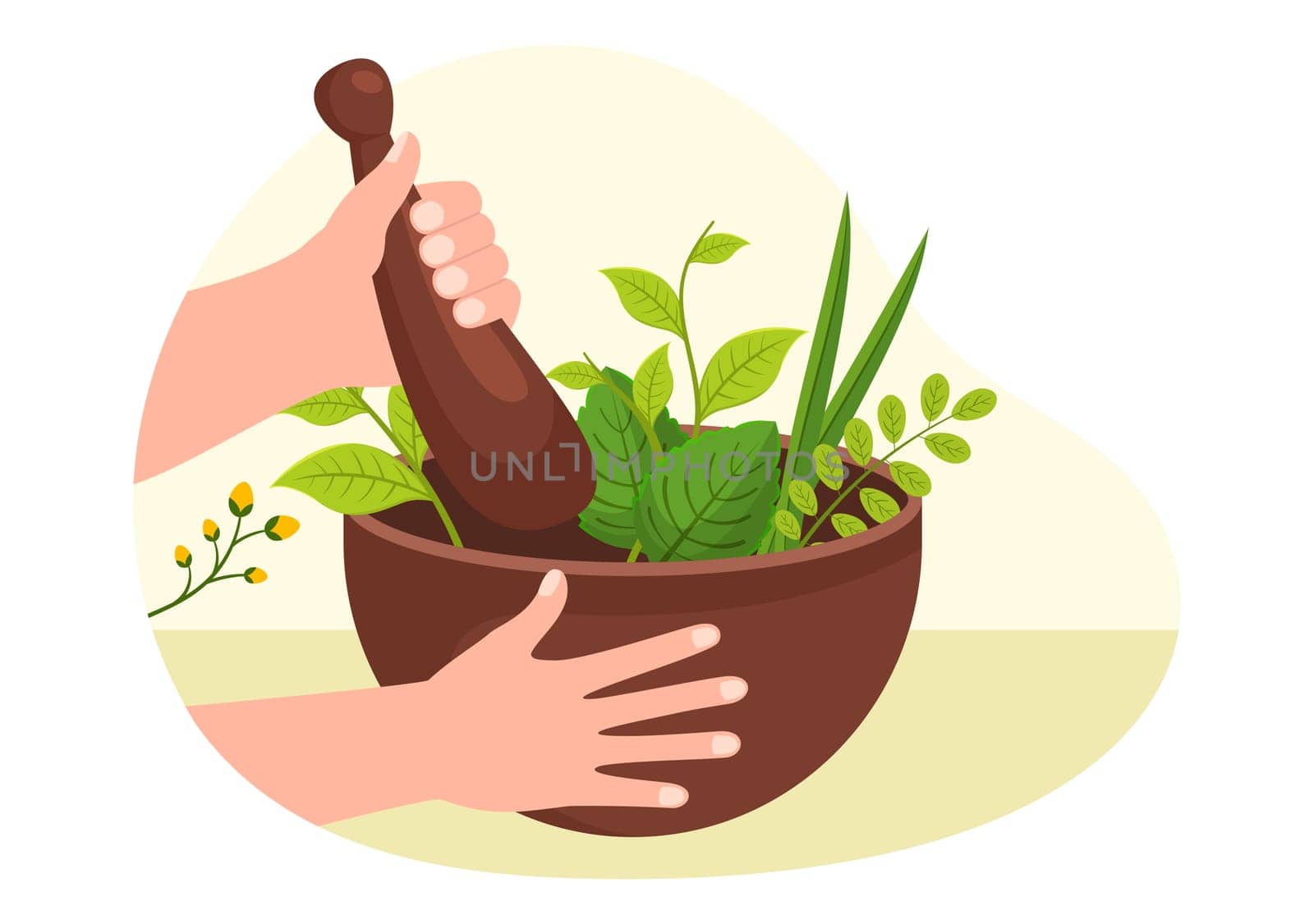 Alternative Medicine or Herbal Cure of Energy Therapies with Ginseng Root, Essential Oil and Seeds in Flat Cartoon Hand Drawn Templates Illustration