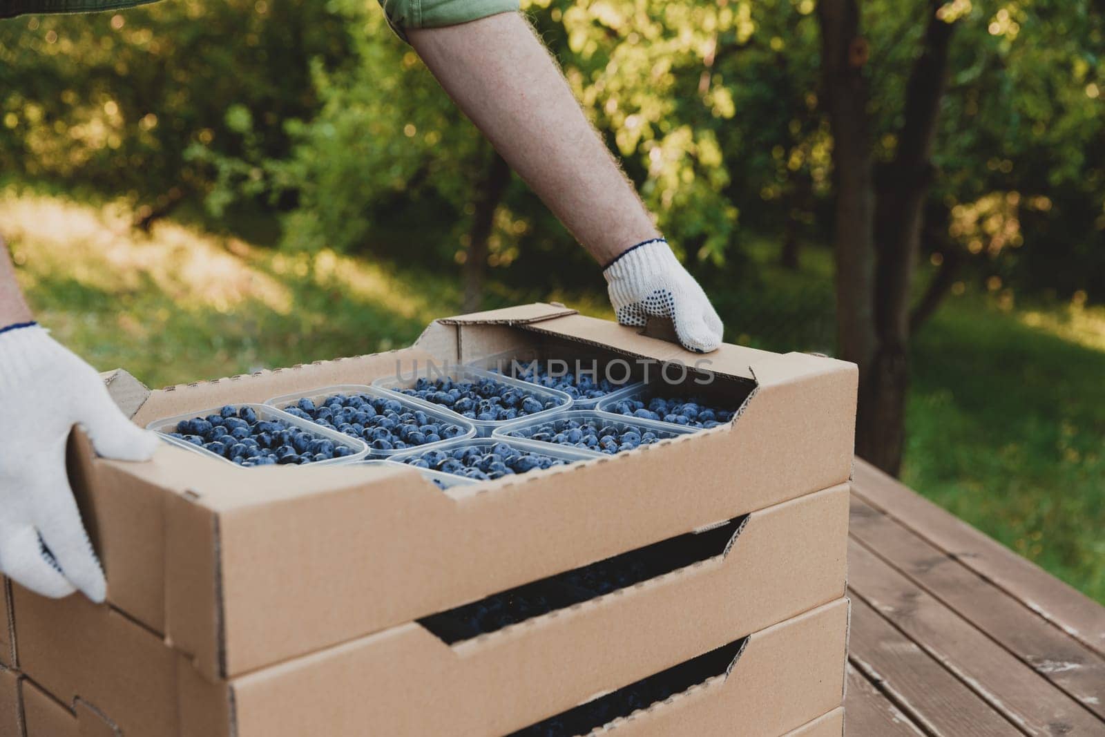 Worker at farm pack blueberry for shipment. Packing berry for delivery and sell. Male hands holding cardboard box or crate full of plastic containers with blueberry over stack. Berry shipping concept