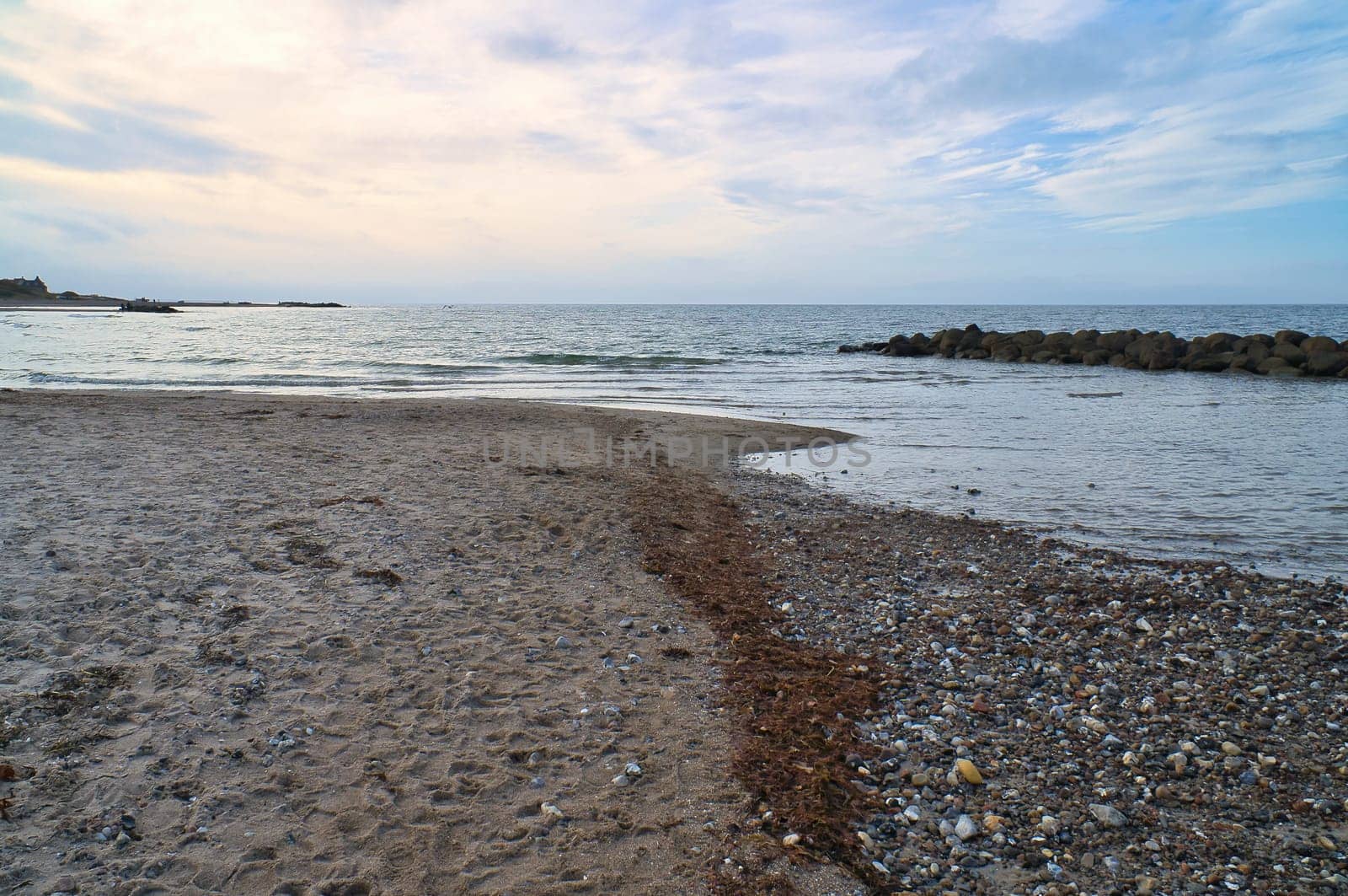 Stand in Denmark with stone dunes . Stones, shells and seaweed on the coast. Landscape photo from sea
