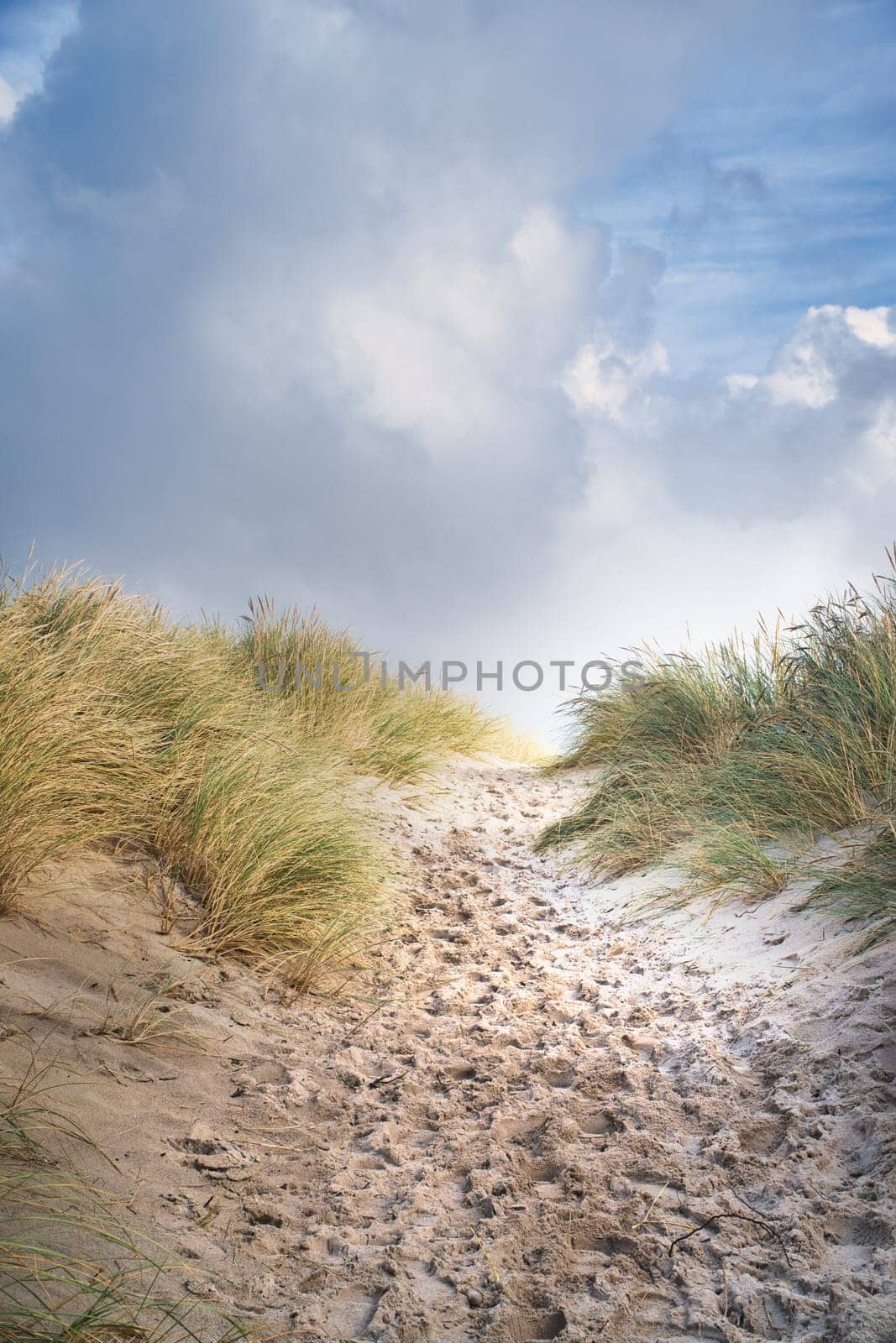 Beach crossing in Denmark by the sea. Dunes, sand water and clouds on the coast. Trip to the Baltic Sea. Vacation on the beach. Scandinavia landscape photo