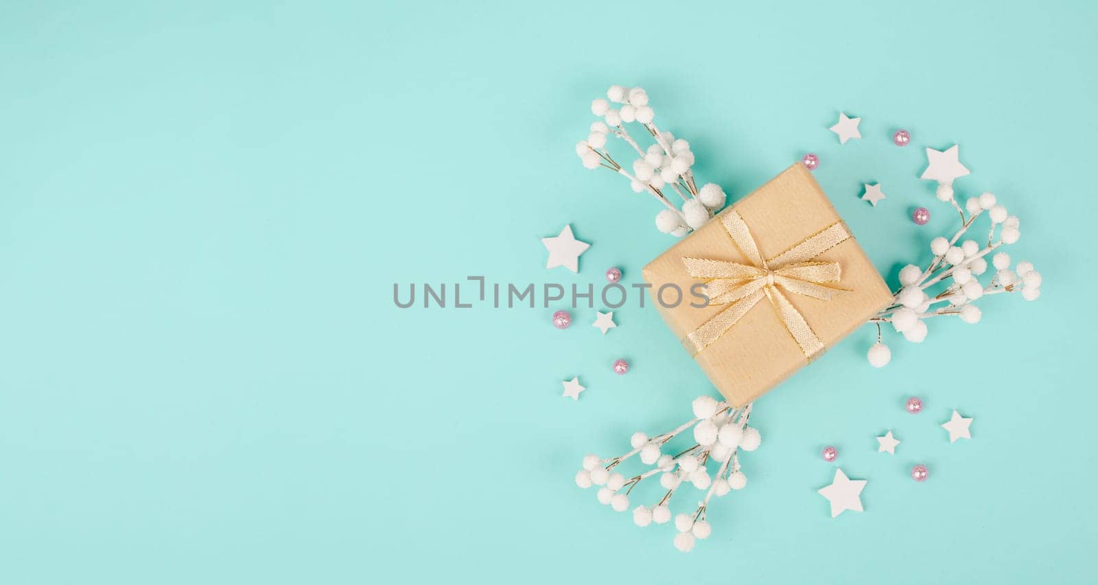 Gift box with snow covered berries, christmas holiday wintertime