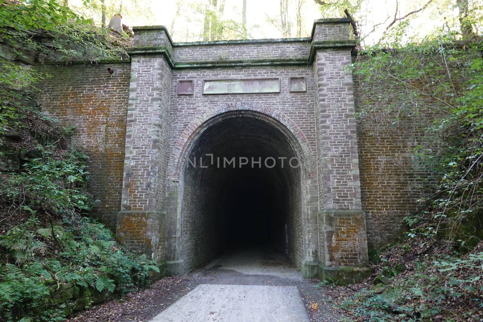 Nordportal des Deisener Tunnel auf der stillgelegten Strecke der Carlsbahn, Hessen, Deutschland, Trendelburg