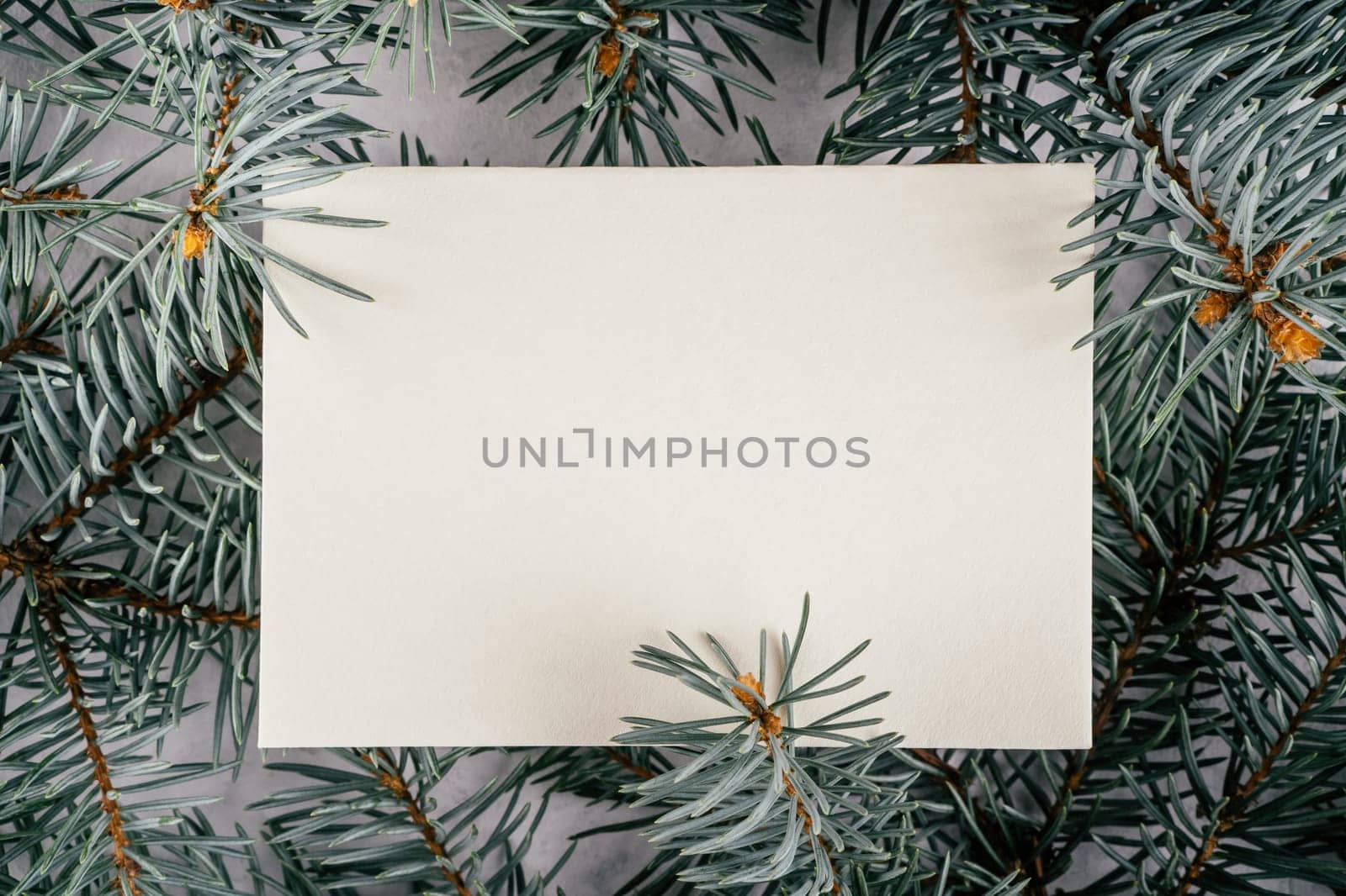 Background creative image with close up texture of fir branches with sheet of white cardboard in middle. Merry christmas and happy new year. Top view. Copy space
