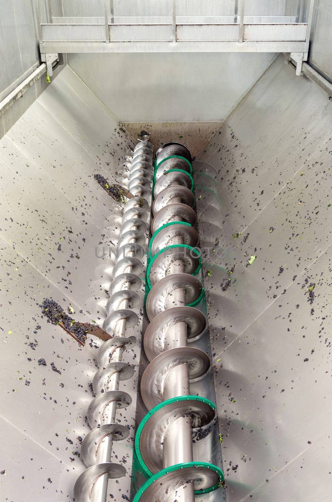 Red grapes are crushing by industrial steel grape crusher machine. Metal grape stalk separator machine during the harvest. Autumn in South Italy contemporary winemaker factory