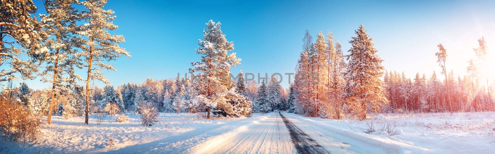 Snowfall on the snowy road in the natural park in winter. Beauriful scenic background.