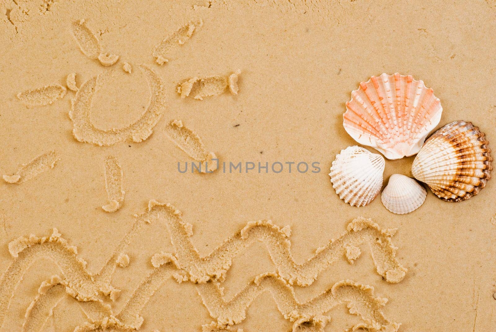 Sun and sea drawed on sand witch shells