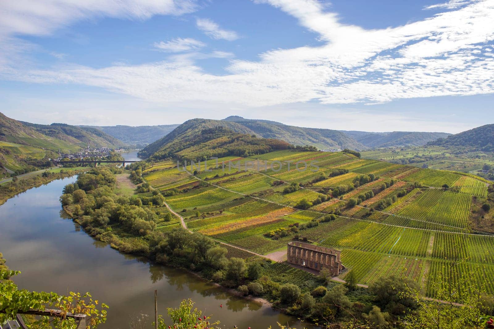 Moselle River in Germany, view of Calmont village and vineyards in the Mosel river valley, Germany