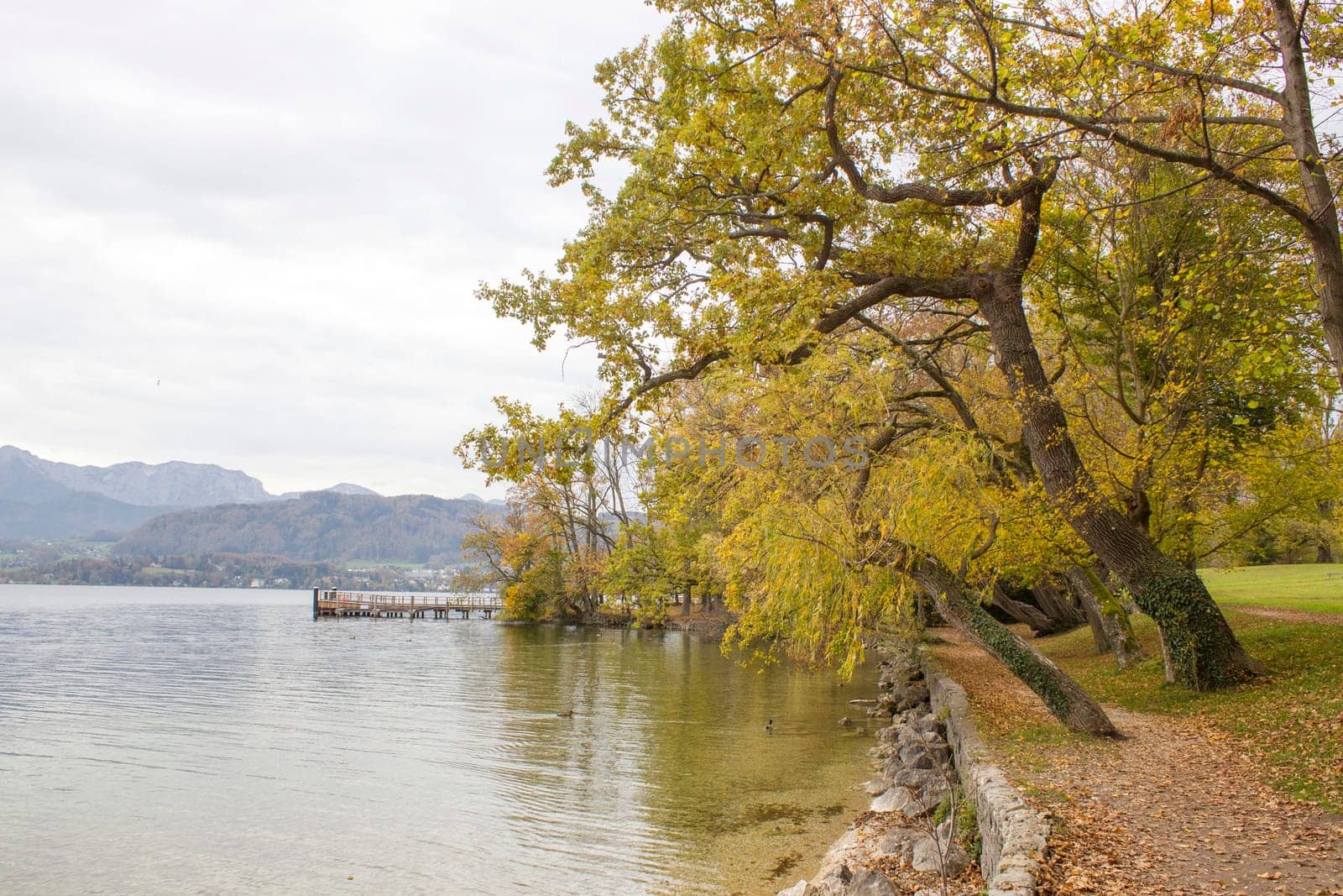 autumn view of lake and trees in Toscana Park, Gmunden