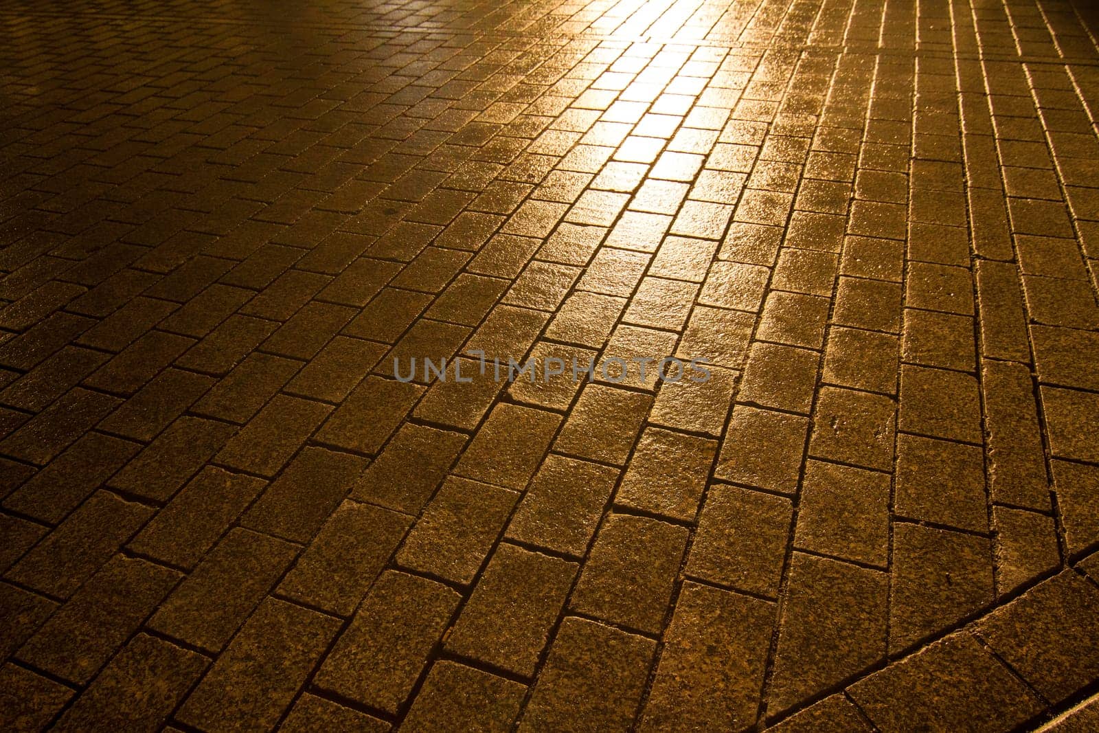 A wet cobblestone pavement in Berlin, Germany.