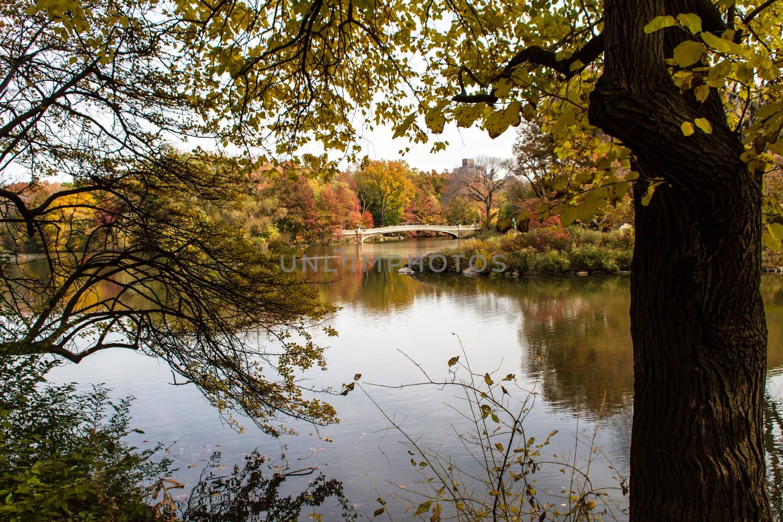 Autumn in the Central Park, New York, United States, view to the bridge.