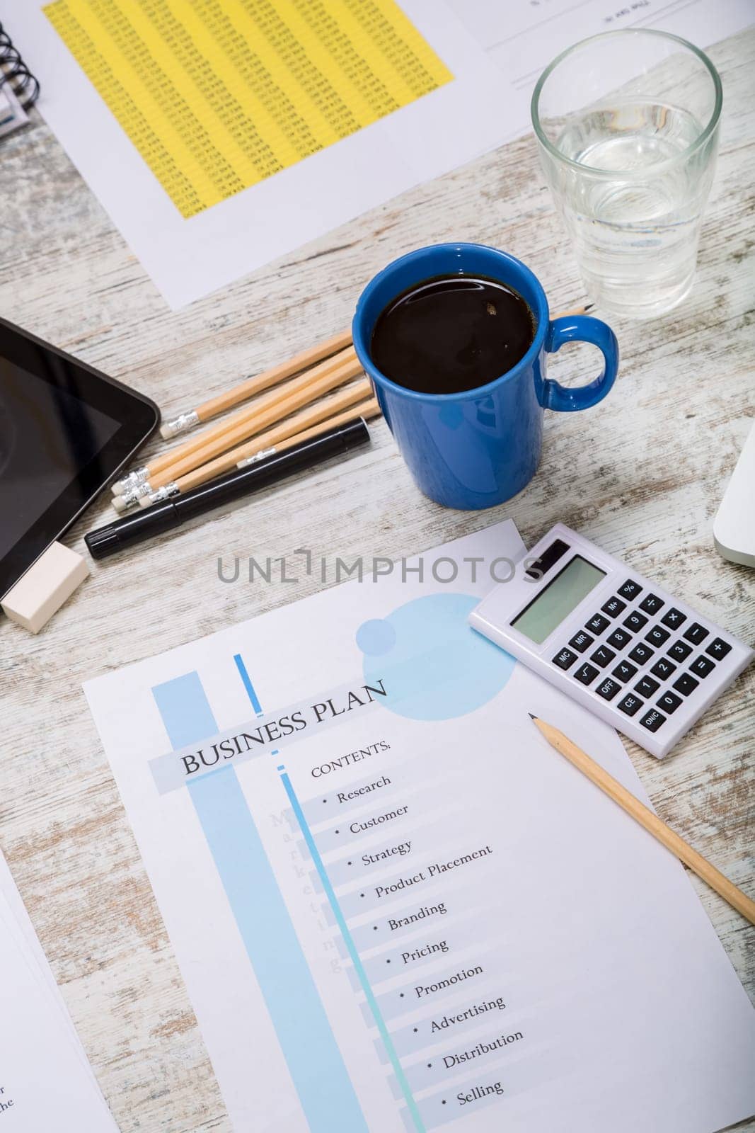 Presenting a Business Plan with a strategy to develop.
