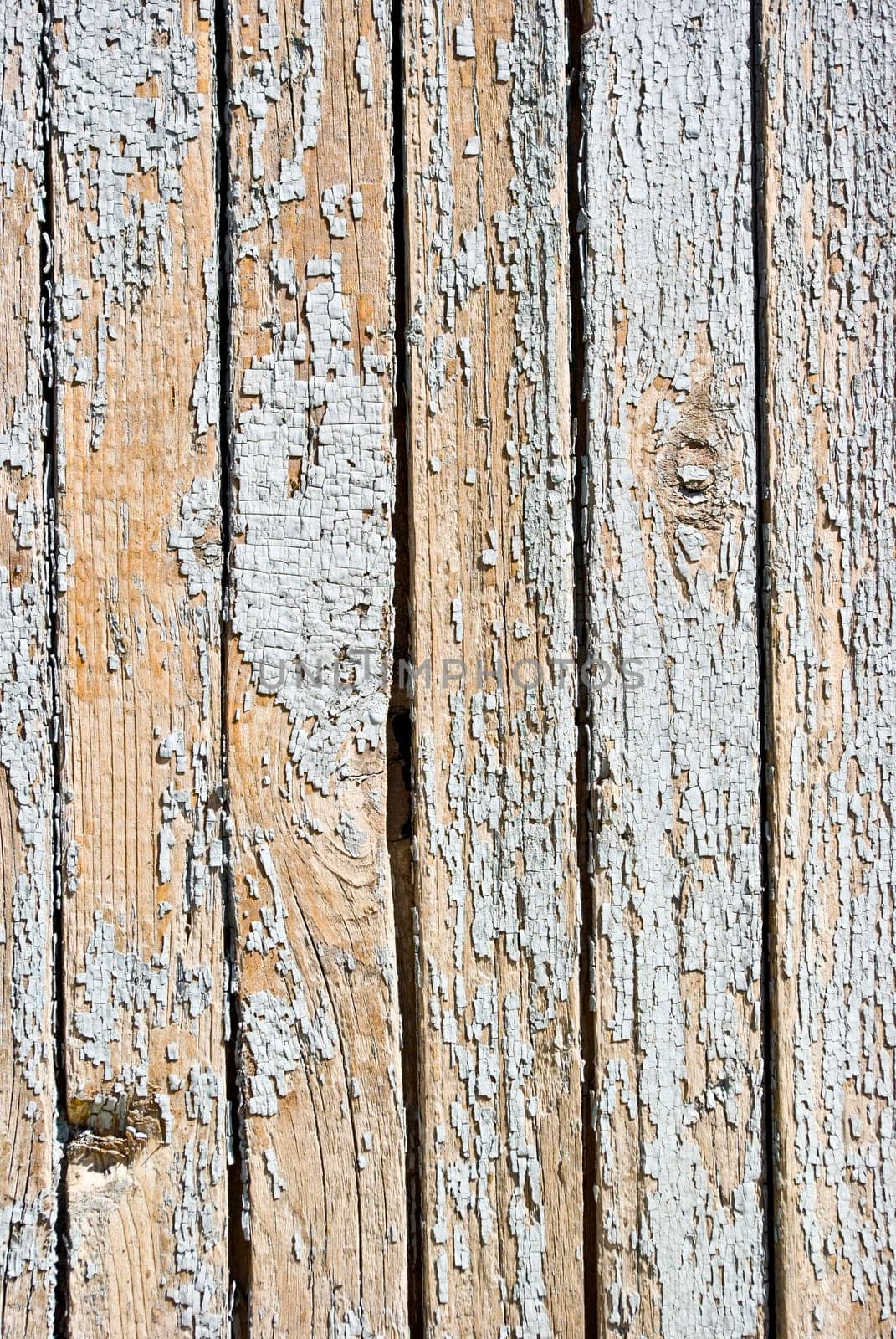 The background of weathered white painted wood