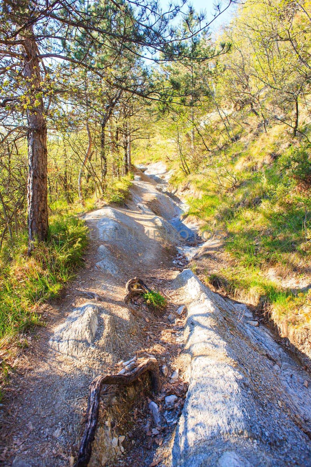 View of Countryside path in the Friuli Venezia Giulia mountain