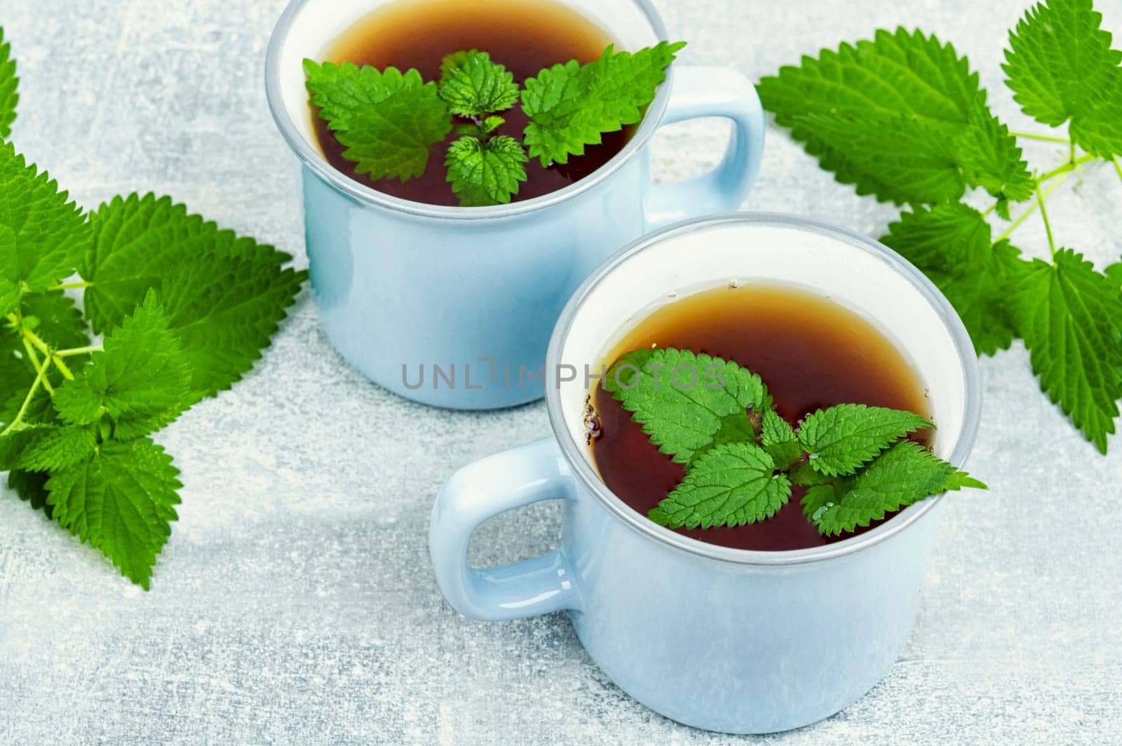 Herbal medicine, tea with fresh nettle leaves. Homeopathic beverage