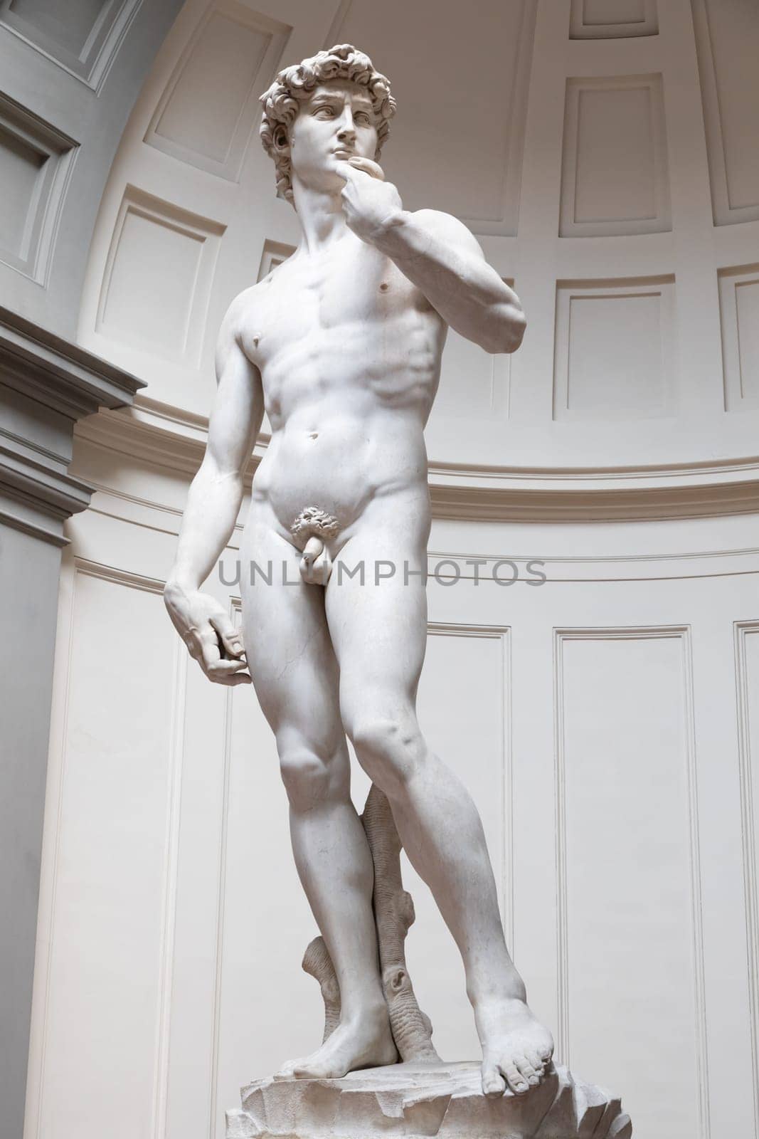 Florence, Italy - Circa August 2021: David sculpture by Michelangelo Buonarroti. The masterpiece of the Renaissance art.