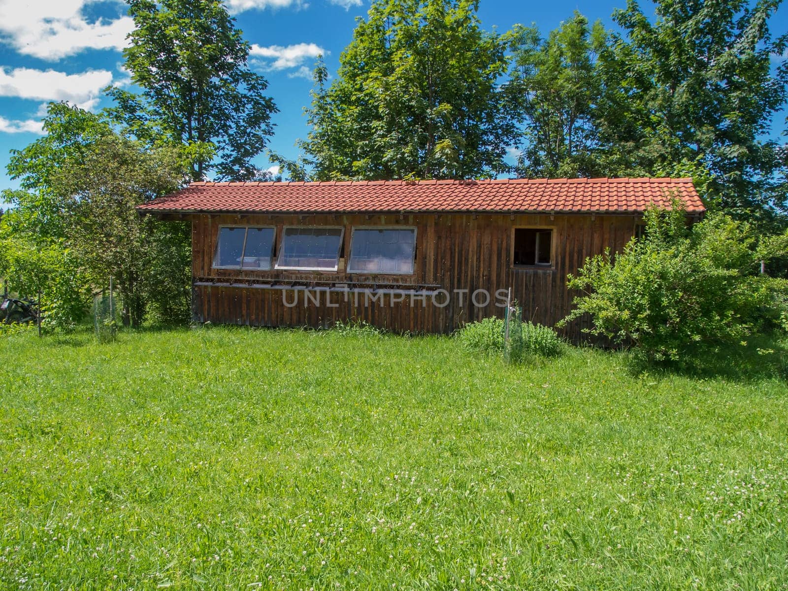 Frontal view of the long side with three glass windows of a beekeeper's house in Bavaria on a green meadow with group of trees in the background under a blue sky with a few white clouds.