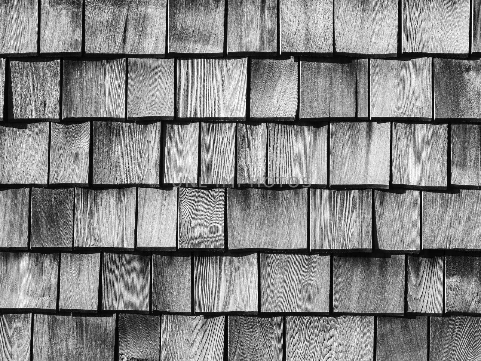 Format-filling view of a wall made of wooden shingles in black and white.