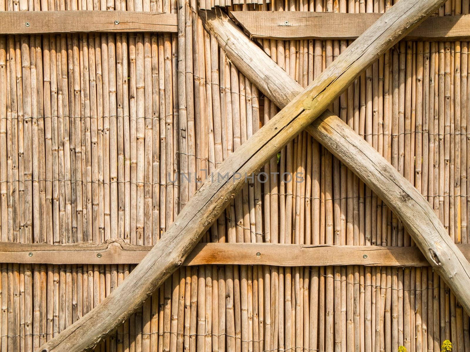 Format-filling view of a fence with vertical bamboo poles arranged close together and reinforced with softwood cross bracing..