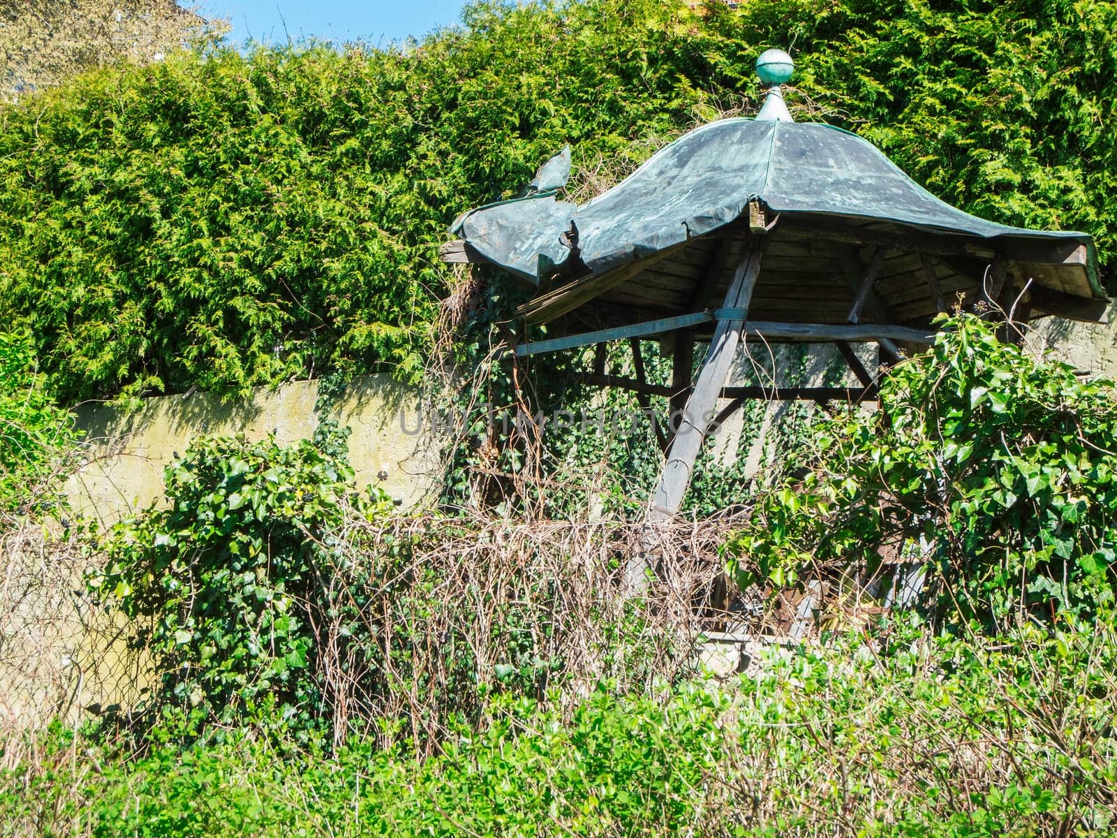 View of a weathered, fallen copper roofed pavilion overgrown with wild plants in an overgrown garden. Recording from the publicly accessible location.