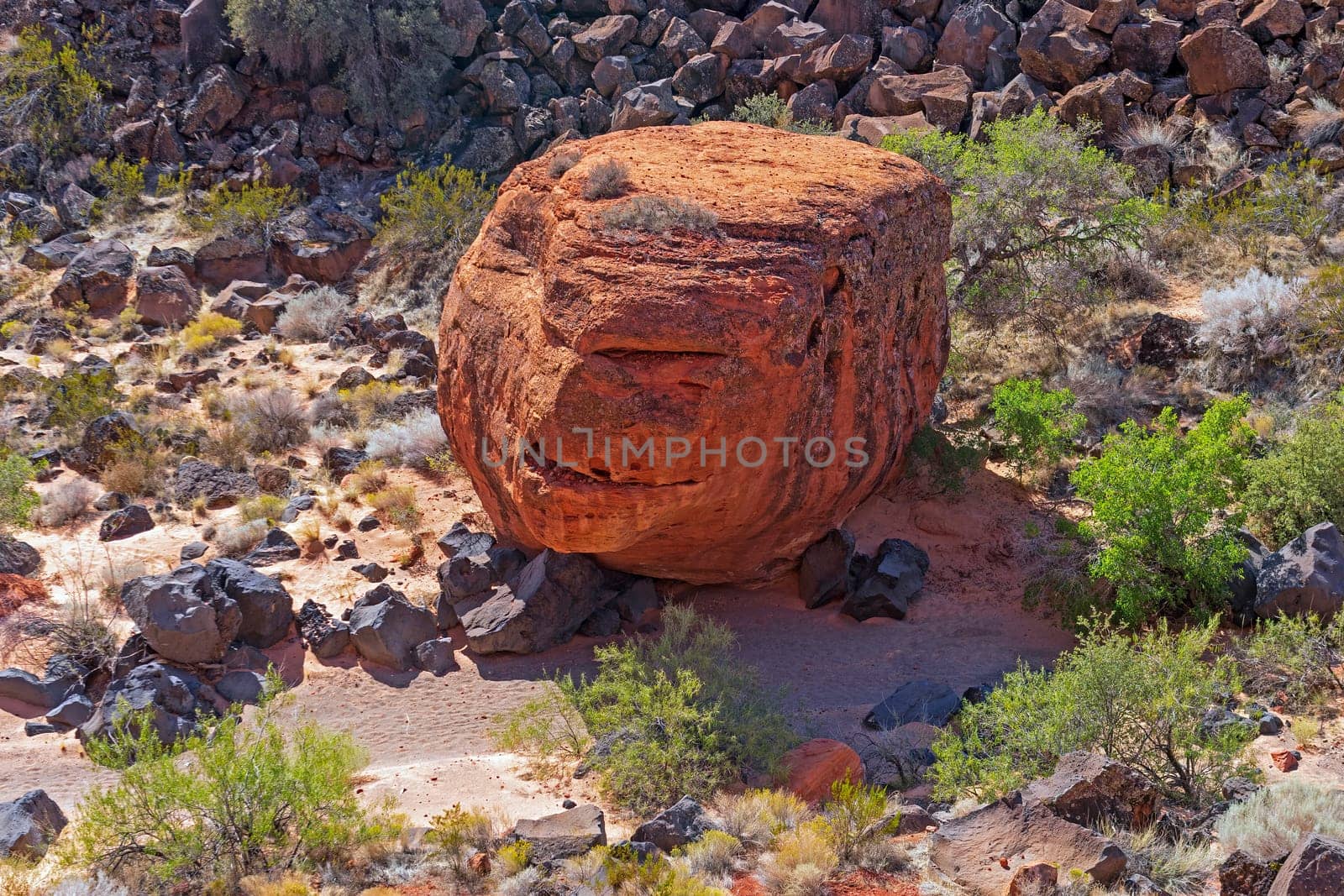 Unusual Rock in a Dried Stream Bed in Snow Canyon State Park in Utah
