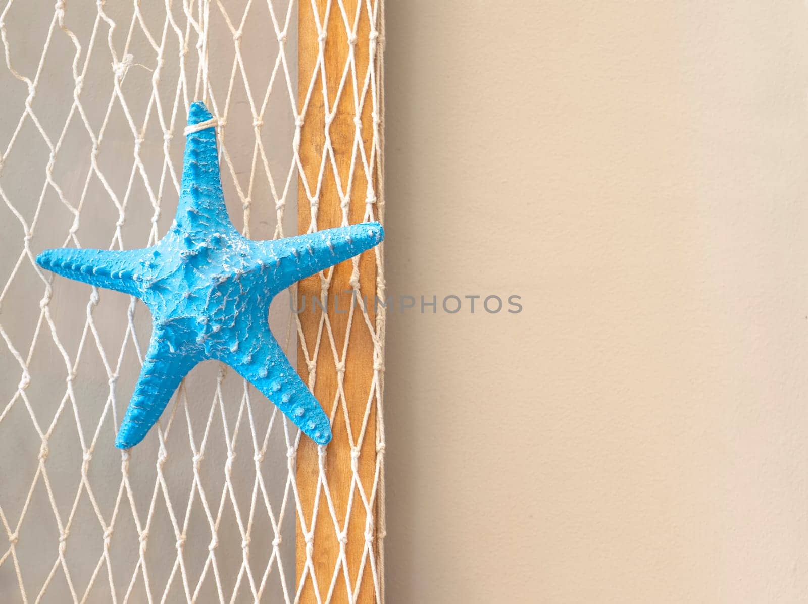 Starfish blue on the white mesh background