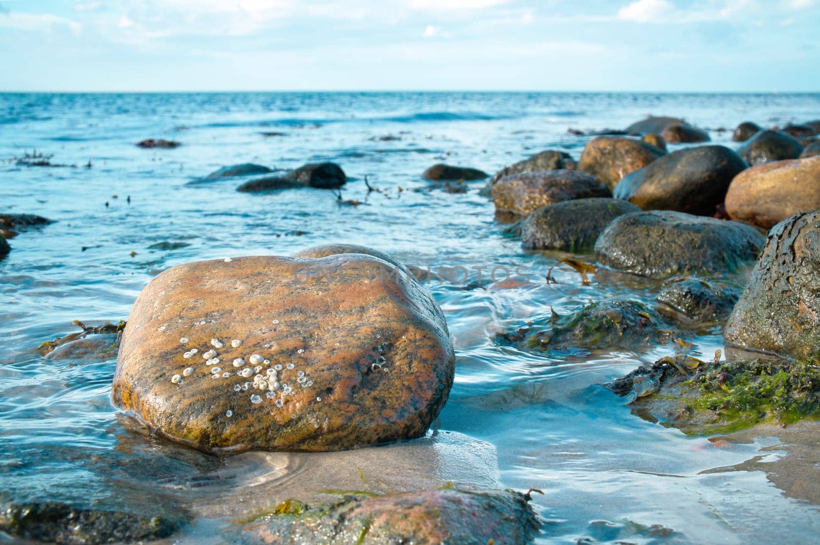 Large stone in the water on the beach in the sea. Danish coast on a sunny day. Landscape shot on the water