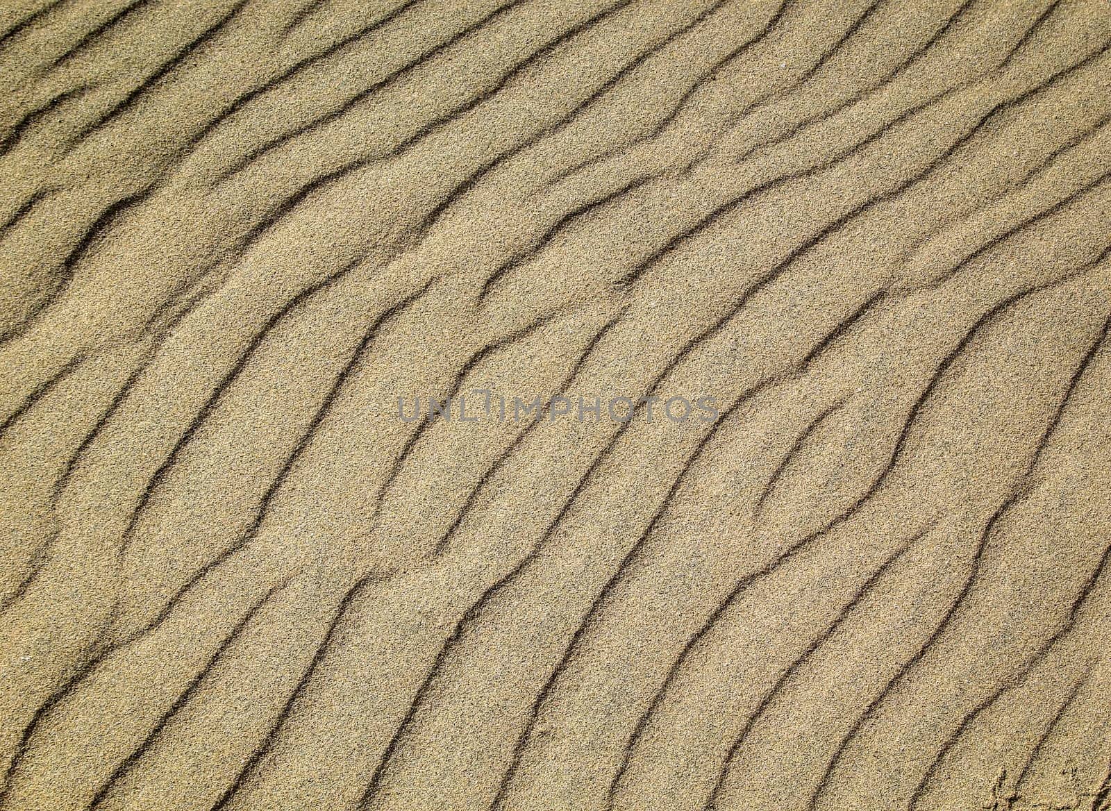 A texture of sand on the beach created by wind and waves.