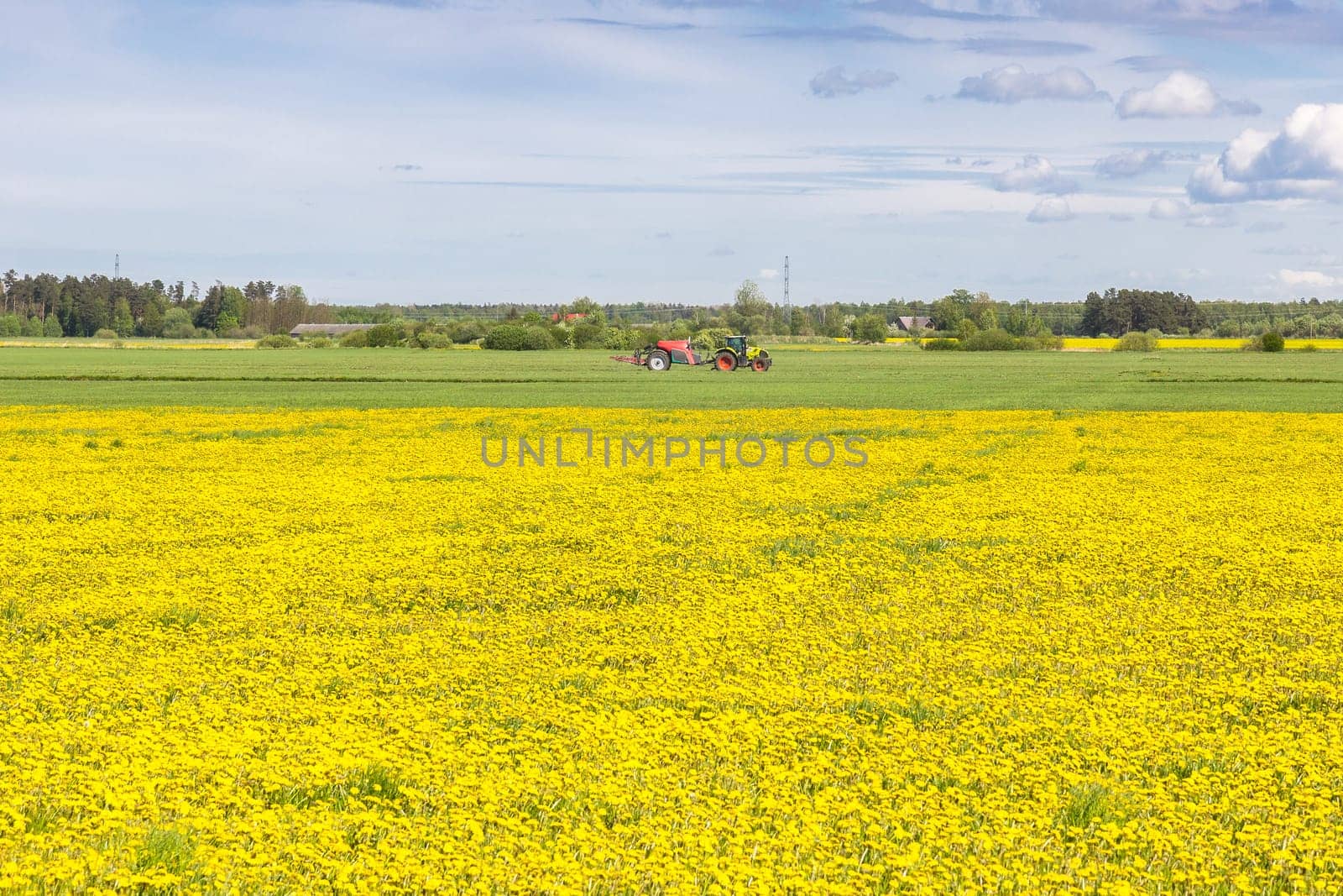 A field of yellow dandelions with agricultural machinery in the distance