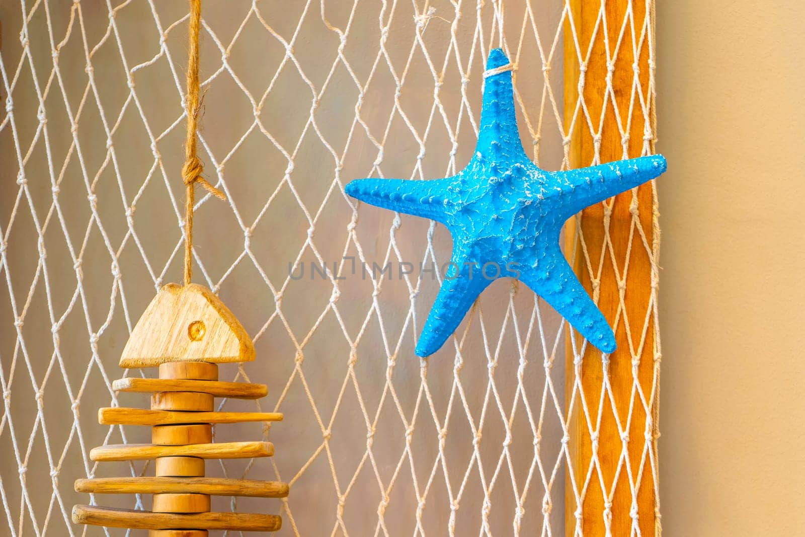 Starfish blue on the white mesh background