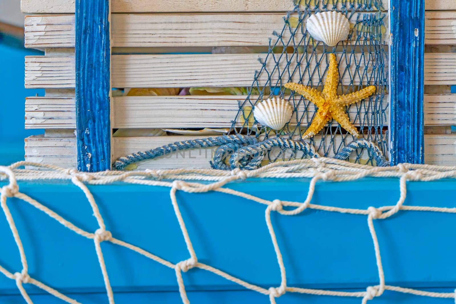 Starfish blue on the white mesh background