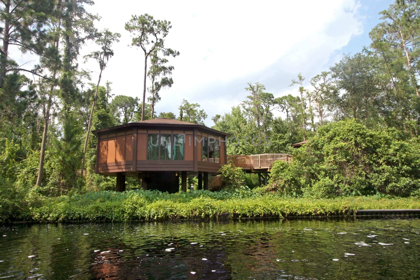 A treehouse in the forest next to a river