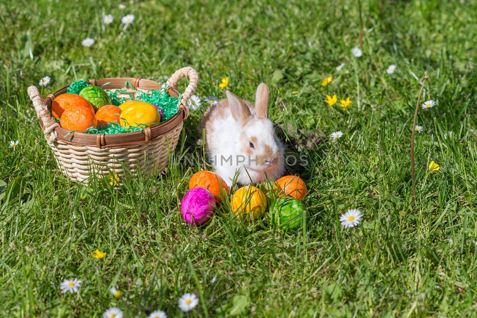 Easter bunny