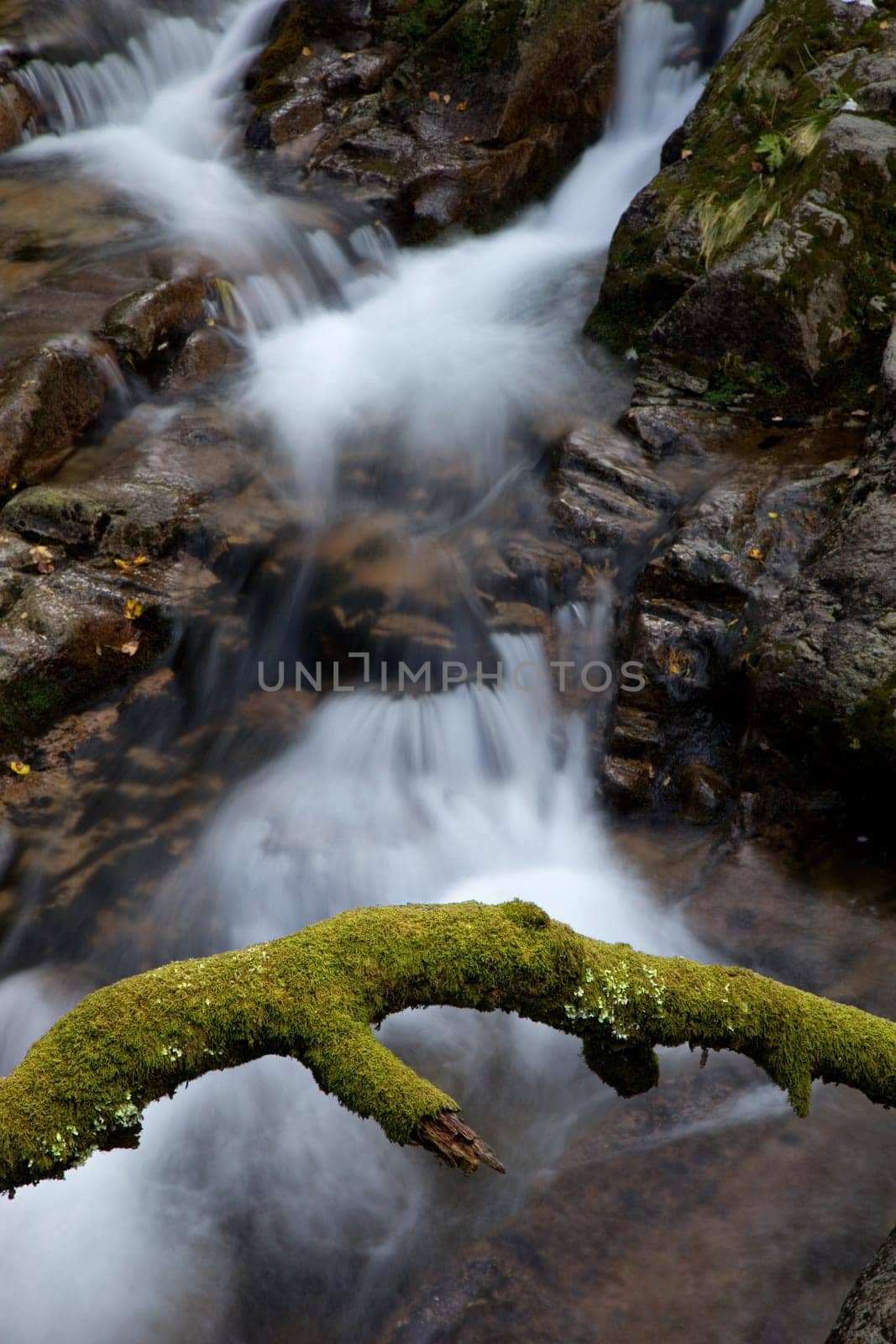 small river in the portuguese national park
