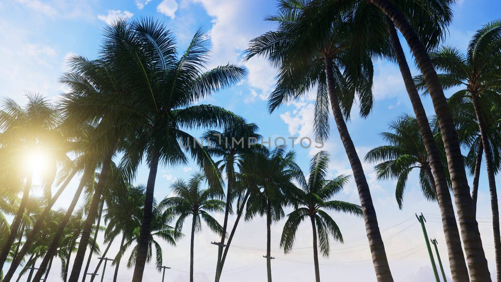 3D illustration Background for advertising and wallpaper in nature and advertising scene. 3D rendering in decorative concept