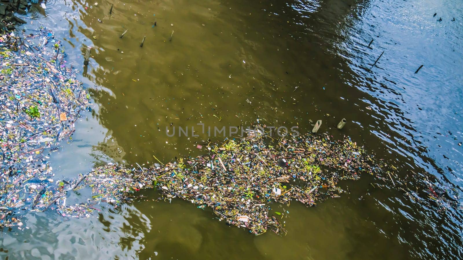water garbage Polluted water Fishes dirty river with trash and plastic Freshwater pollution