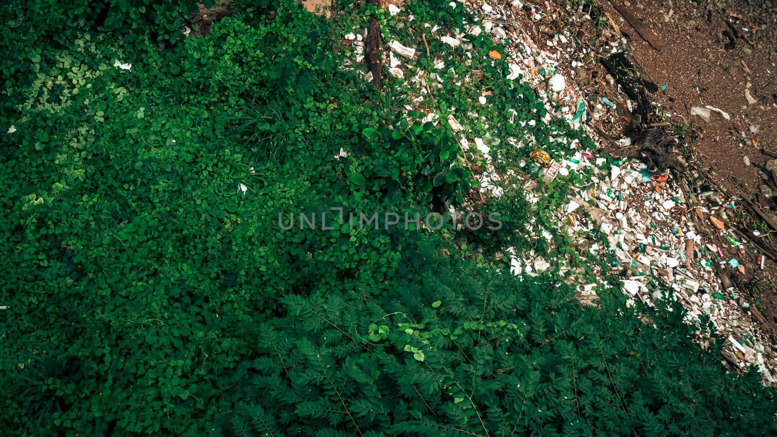 environmental damage of garbage in the nature. garbage and smog in forest . Garbage on the river bank