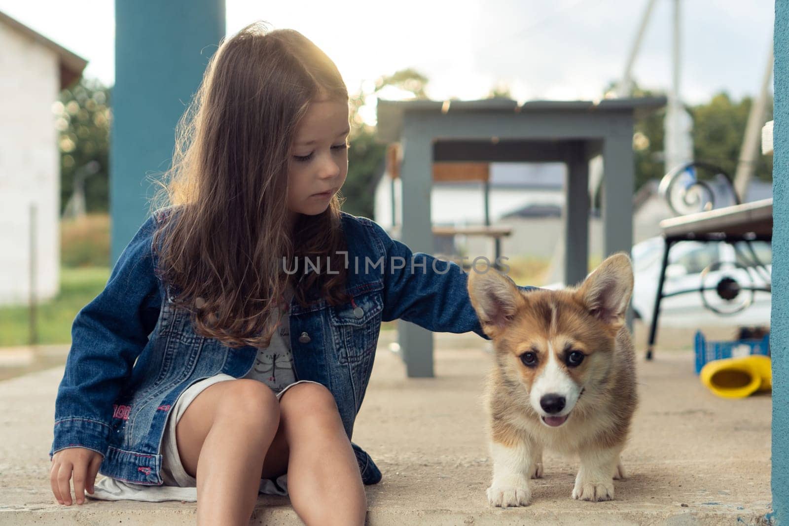 Portrait of serious little girl with long dark hair wearing denim jacket, caressing, stroking fur of amazing welsh pembroke corgi puppy pet, sitting near wooden bench in yard. Pet care, animal life.
