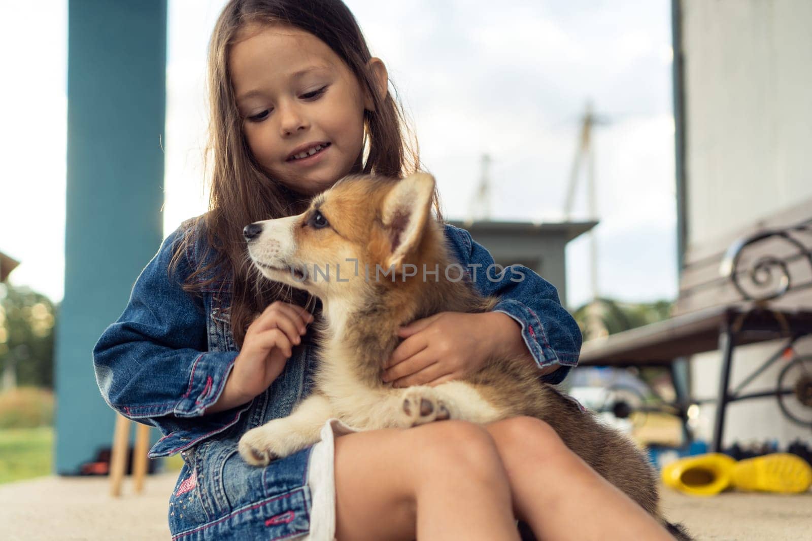 Portrait of smiling little girl with long dark hair wearing denim jacket, embracing fluffy welsh pembroke corgi puppy pet, caressing, stroking fur, sitting near house in yard. Pet care, animal life.