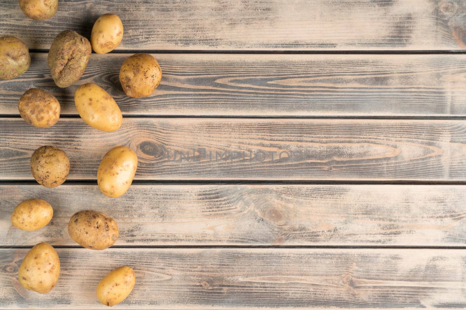 Composition raw potato on wooden background. Ecological foodstuff, farm products and healthy eating. Vegetarian lifestyle and natural agriculture. Cooking recipe with murphy. Top, copy space, sample