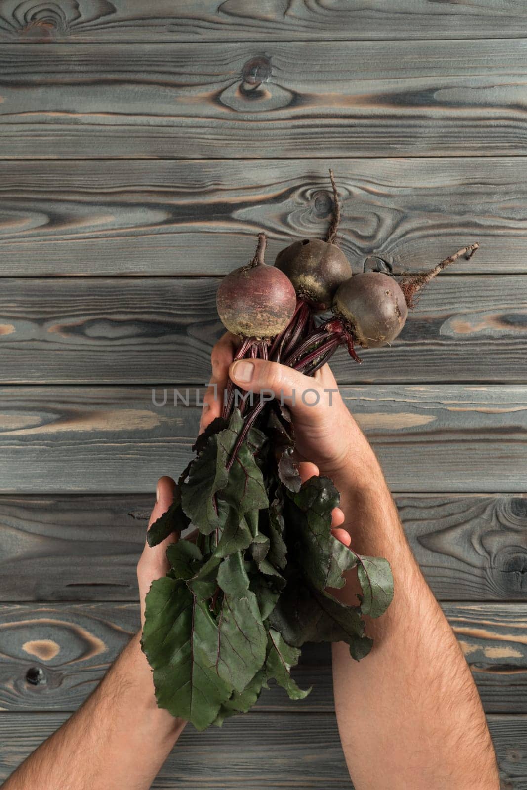 Vertical unrecognizable cropped man hands holding raw fresh clean beetroots with stems and leaves on wooden background. Healthy nutrition, diet for good digestion. New recipe. Top view, copy space