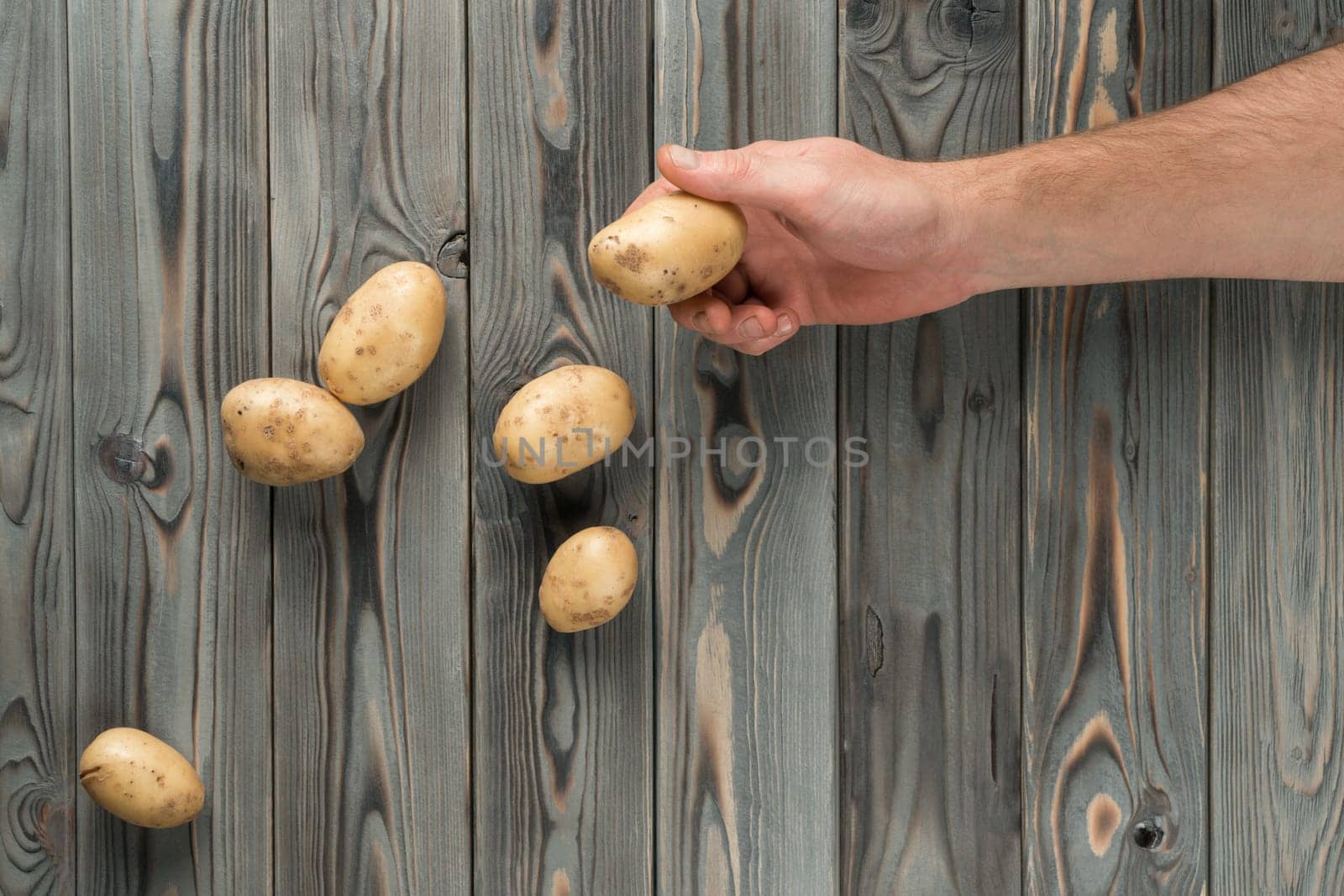 Cropped man hand hold raw potato on wooden background. Ecological foodstuff, farm products and healthy eating. Vegetarian lifestyle and natural agriculture. Meal for supermarket. Top view, copy space