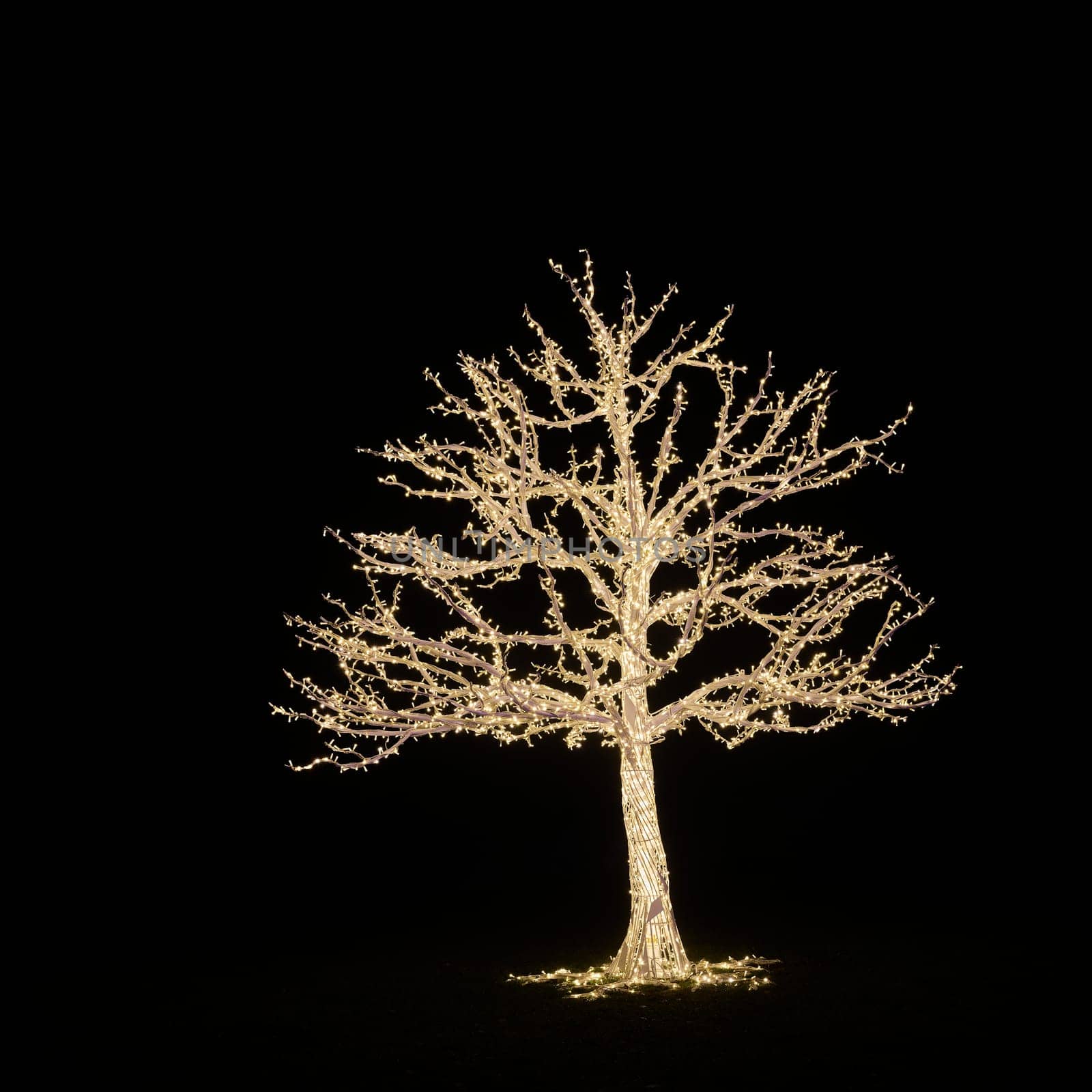 A Tree as an illuminated decoration made of fairy lights at the light installation Lumagica in the Elbauenpark in Magdeburg as a mood for the Christmas season