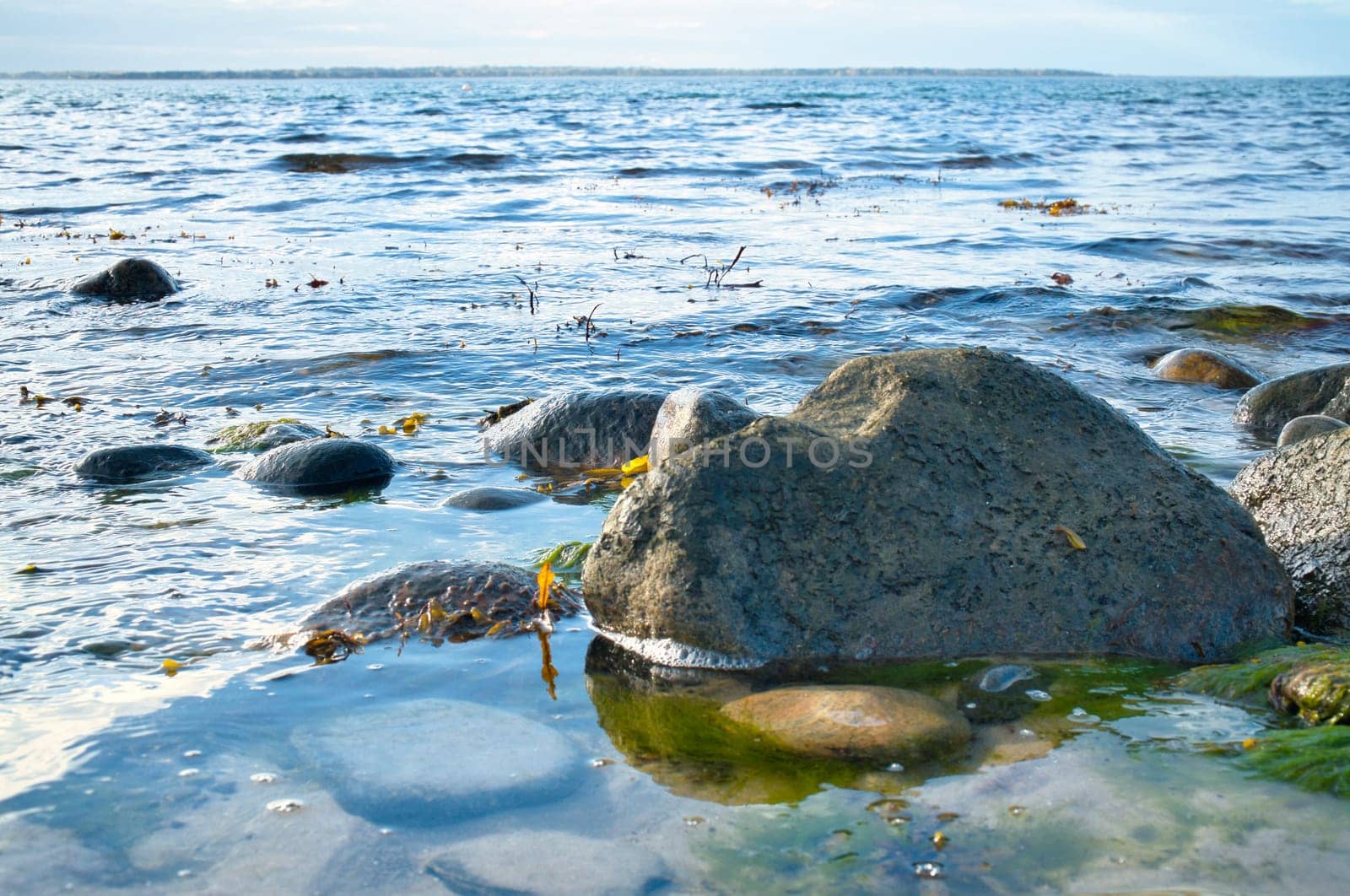 Large stone in the water on the beach in the sea. Danish coast on a sunny day. Landscape shot on the water