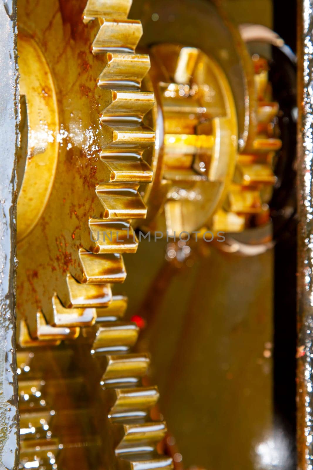 Gears with oil of service transmission gear