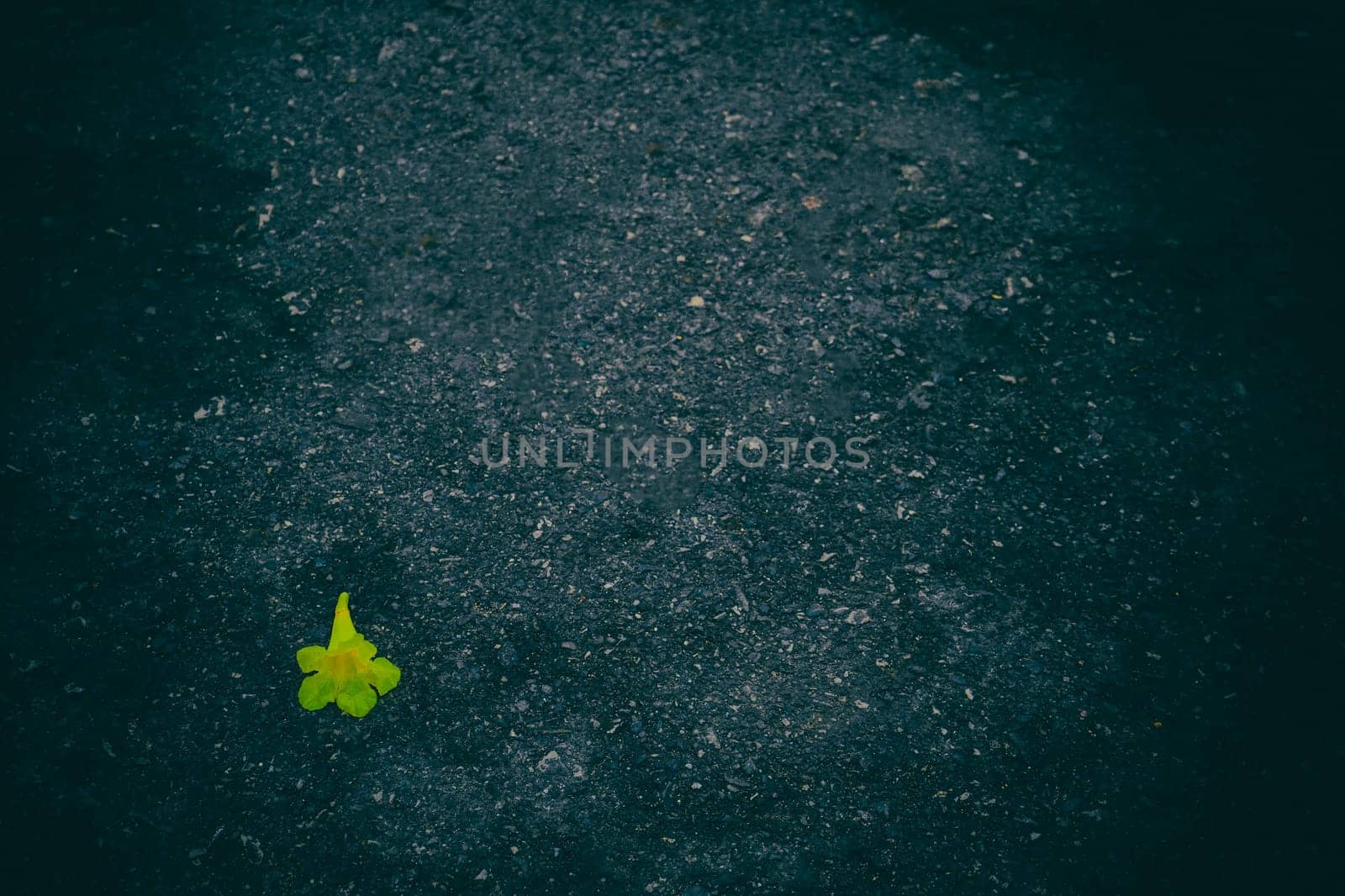 Black texture background with dark black border