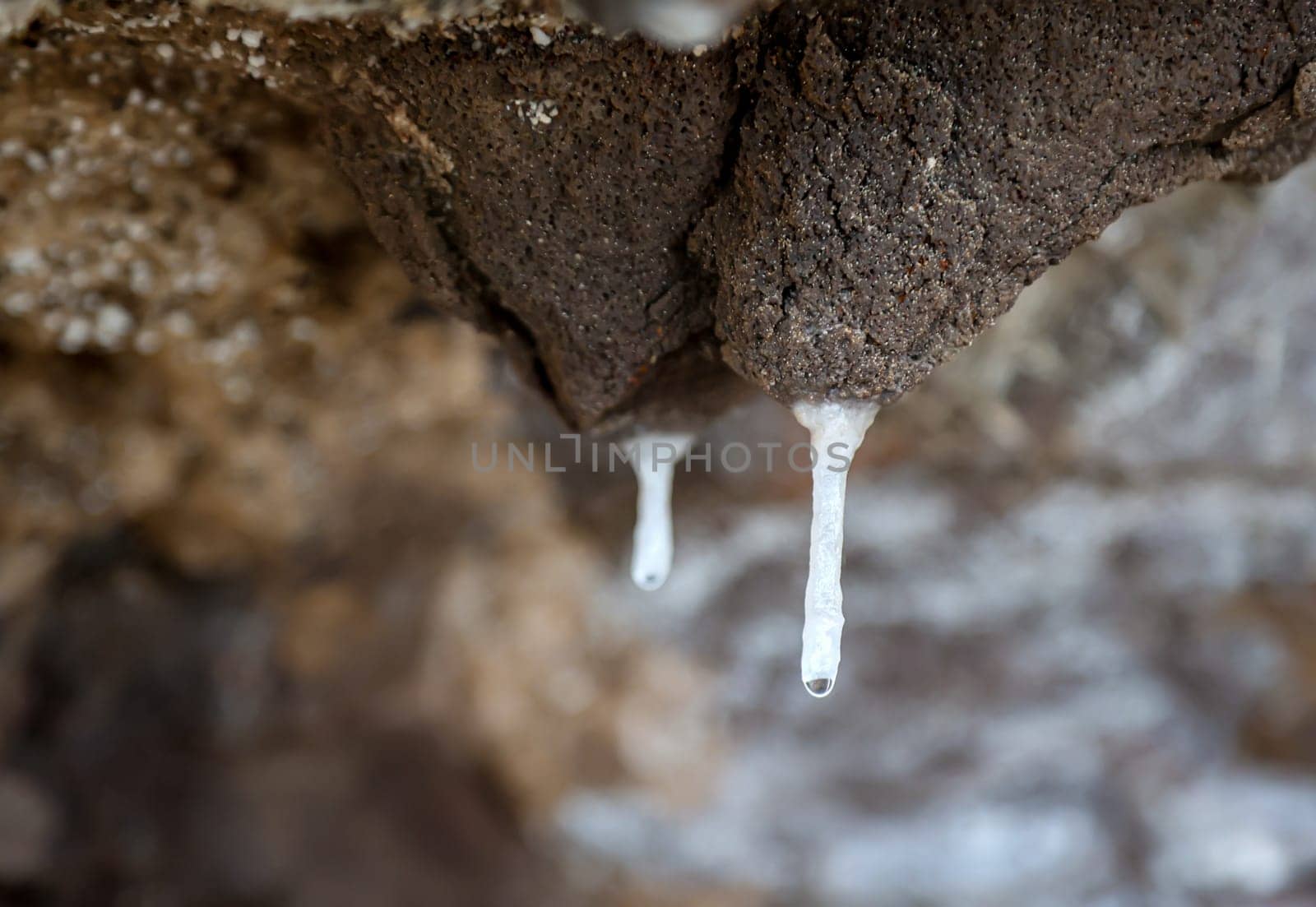 On a rocky outcrop on the coast, small stalactites are formed by mineral-rich water seeping through the rock.